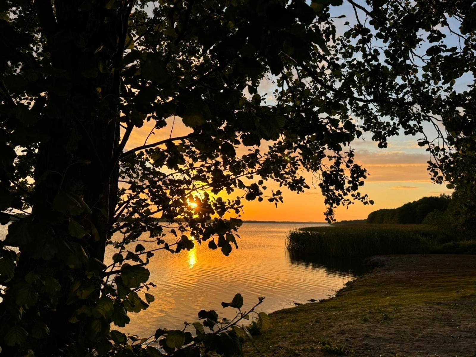 Domek Leba Nowecin Bagian luar foto