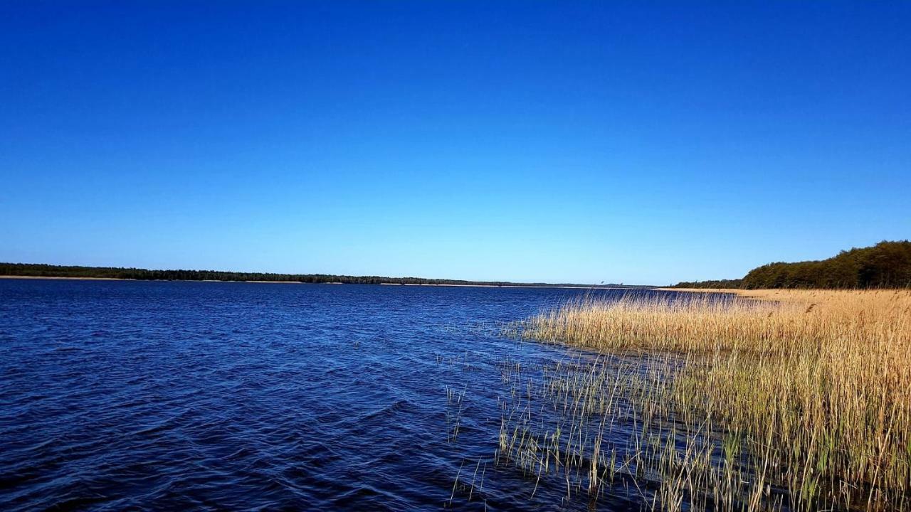 Domek Leba Nowecin Bagian luar foto